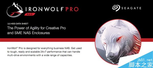 希捷发布IronWolf Pro NAS硬盘:最强10TB/耐用性极佳