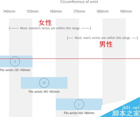 怎么选择Apple Watch表壳和表带尺寸？