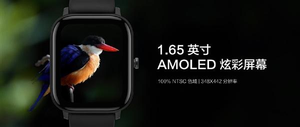 Amazfit GTS智能手表:14天长续航 +NFC