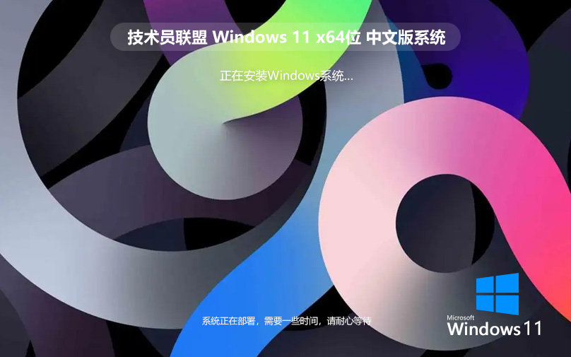 技术员联盟 Windows11 64位 纯净中文版