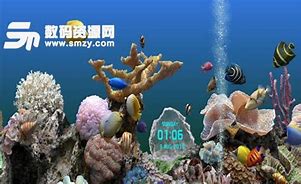 3d热带鱼水族箱屏保